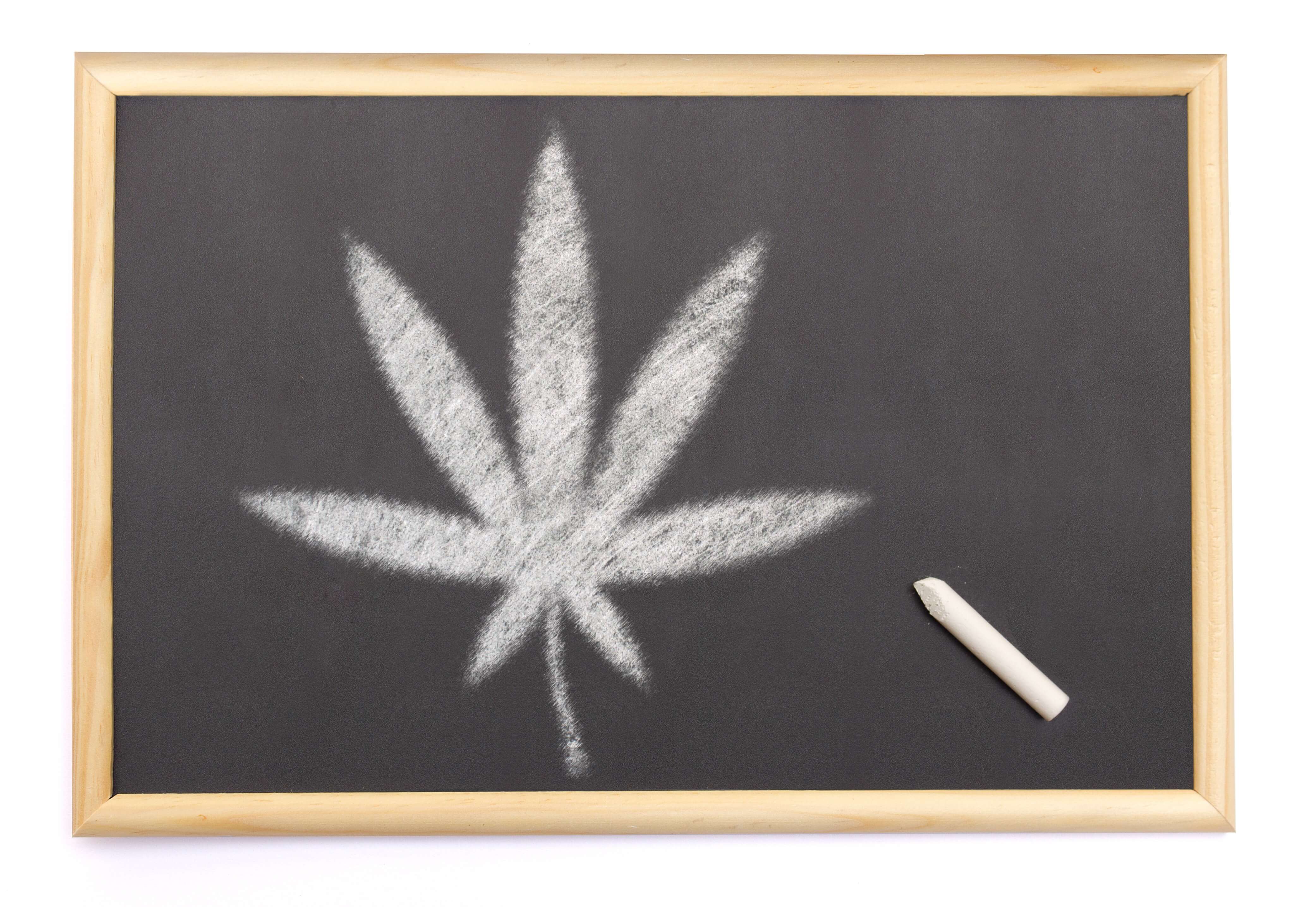 marijuana-education
