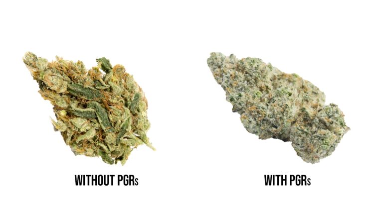 pgr-weed-vs-natural