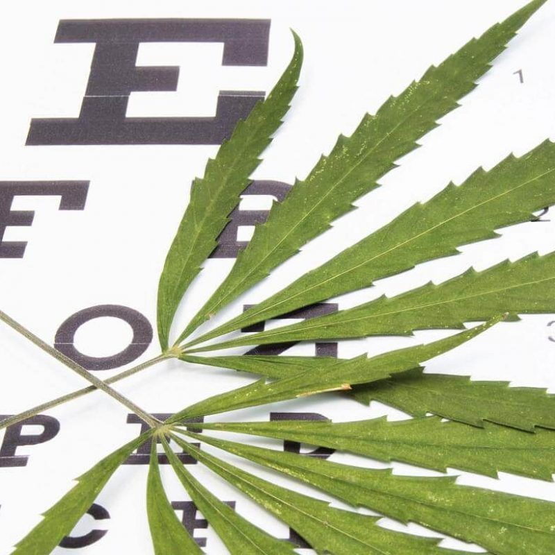 cannabis-for-glaucoma
