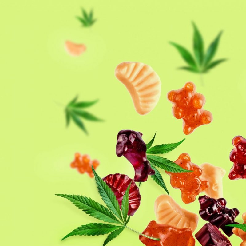 medical-marijuana-gummies