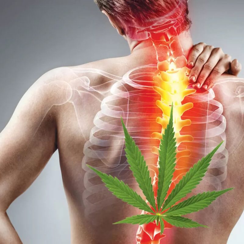 medical-marijuanas-for-back-pain